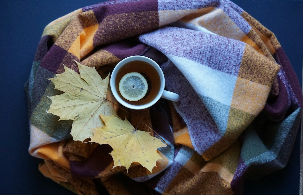 Autumn Winter 2026 Fashion Trends: Colours, Prints and Styles to Sew Now