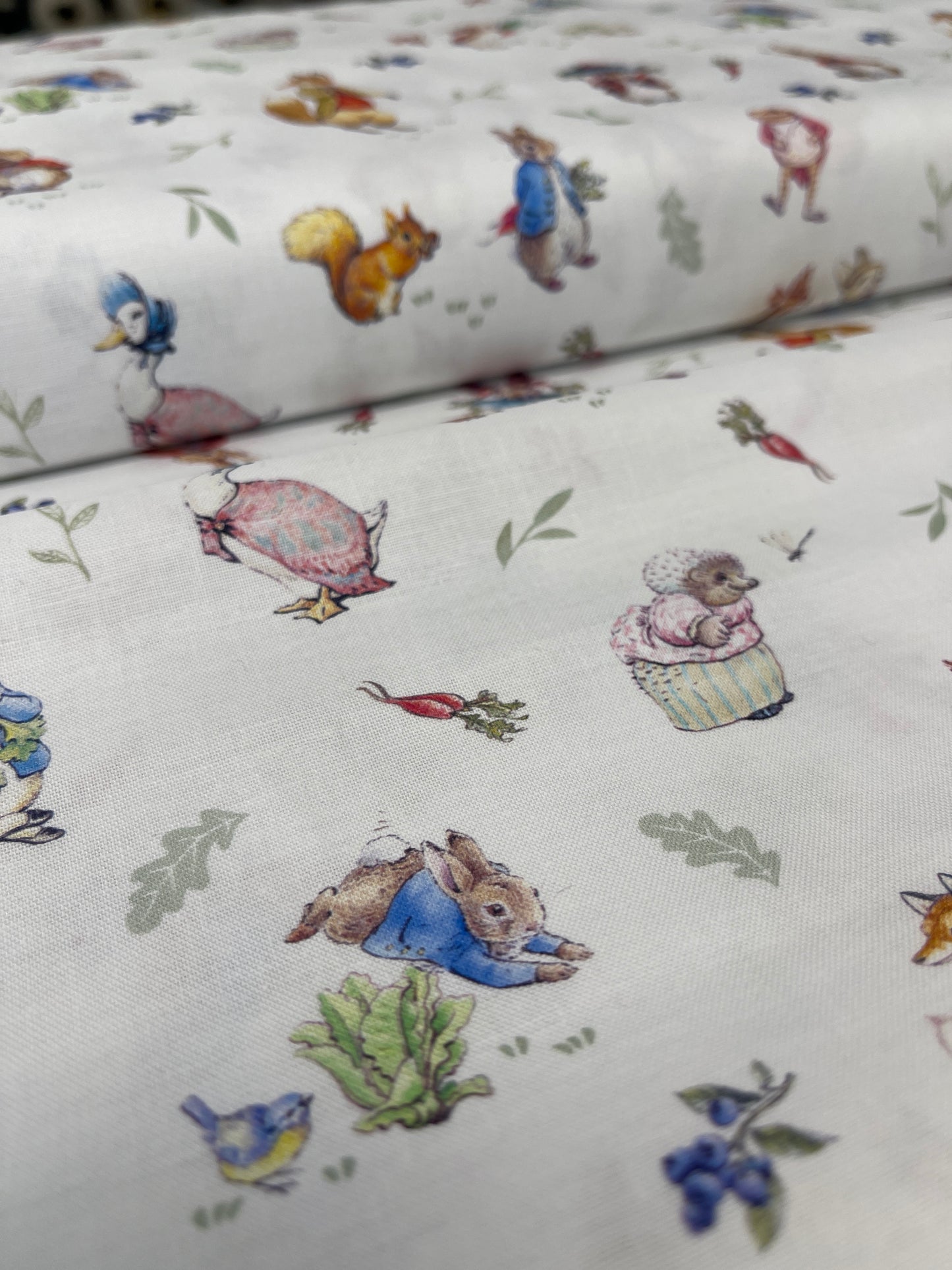 Peter Rabbit and friends
