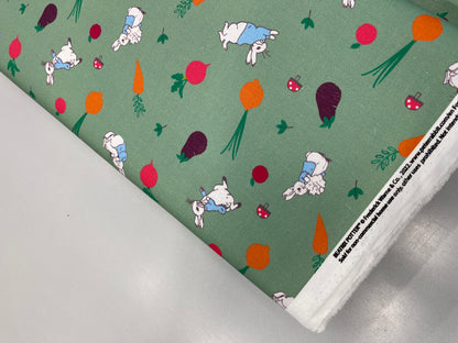 Peter Rabbit - Green