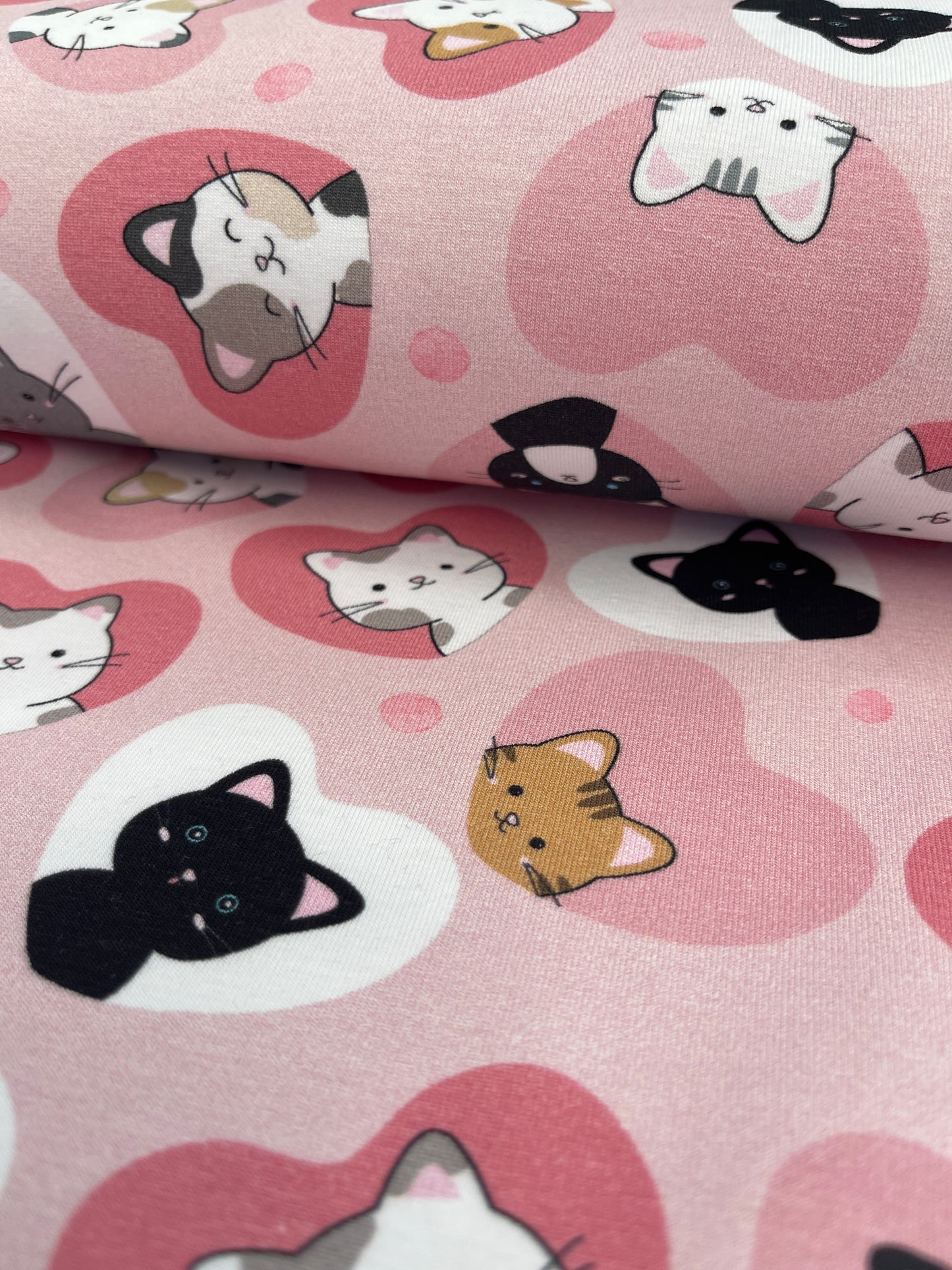 Cotton Elastane Jersey - Catz