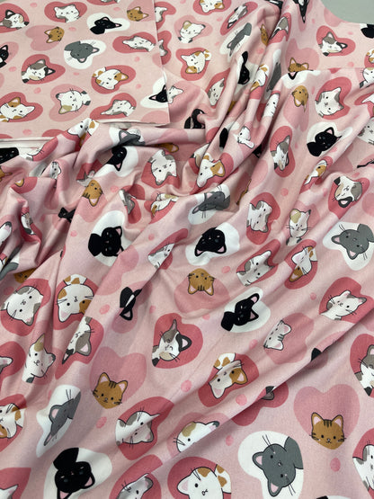 Cotton Elastane Jersey - Catz