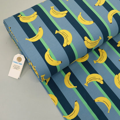 Cotton Elastane Jersey - Fruity Stripe - Blue - Banana
