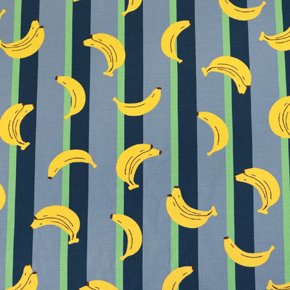 Cotton Elastane Jersey - Fruity Stripe - Blue - Banana
