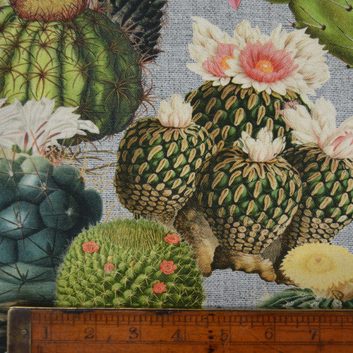 Cactus Garden Home Furnishing Fabric